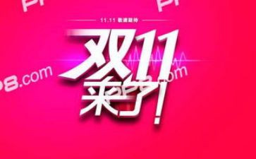 双11总结报告最新5篇