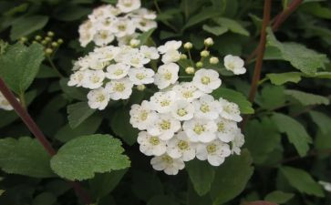 大班四月份月工作总结通用7篇