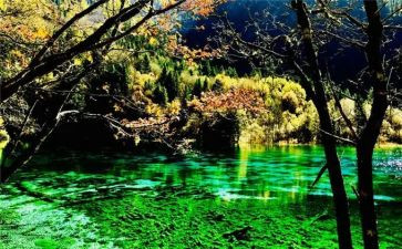 大班四月份月工作总结7篇