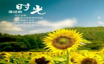 温暖了岁月的作文优质5篇