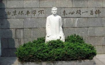 陶行知教育思想心得体会8篇