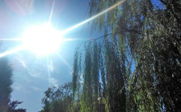 锋和天气教案通用7篇