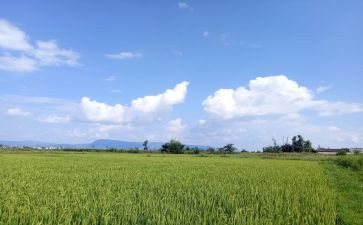 锋和天气教案7篇