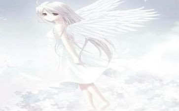 天使的爱演讲稿6篇