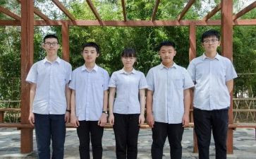 推荐生工作总结优质5篇