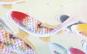 交子文化心得体会精选6篇