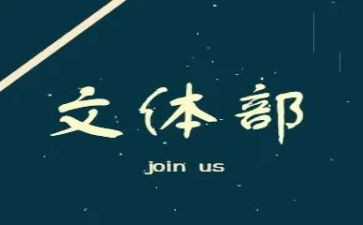 文体组的工作总结最新6篇
