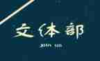 文体组的工作总结最新6篇
