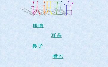 五官的作文模板7篇