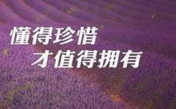 珍惜工作的心得体会8篇