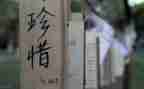 我珍惜作文300字8篇