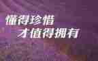 以珍惜为主题的演讲稿5篇