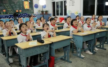 小学环保日活动总结6篇