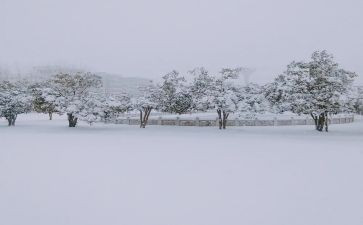 下雪啦的教案优秀6篇