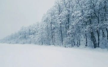 小班语言教案下雪了教案8篇