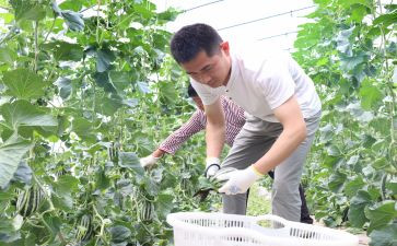 2024新农村调研报告范文7篇