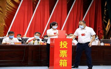 两委换届选举工作总结7篇