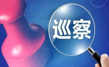 大巡查工作总结7篇