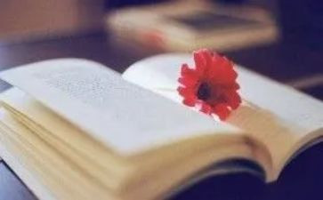 高中叙事类作文模板8篇