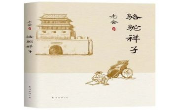 羊的样子读后感最新8篇
