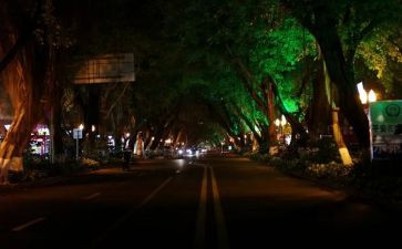 夏夜作文600字5篇