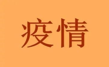 2024年疫情教师工作总结优质5篇