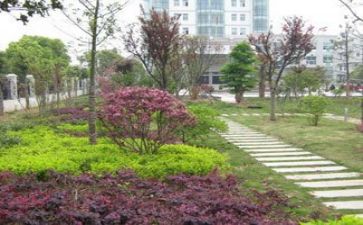 医院2024年度工作总结参考6篇