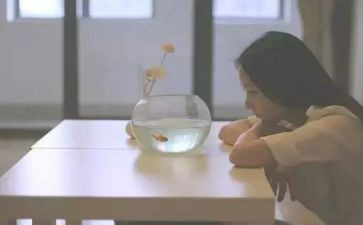 讲自己优点的作文5篇