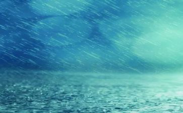 雨-作文600字通用8篇