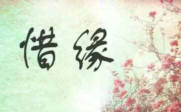 地心缘的读后感8篇