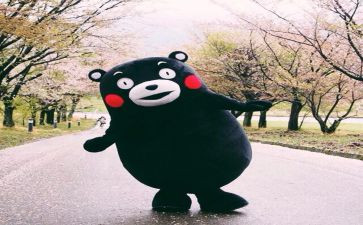 读书悦活动总结参考8篇