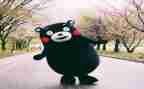 读书悦活动总结参考8篇