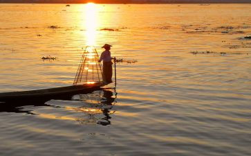 渔夫与鱼教案7篇