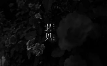 在遇见作文最新7篇