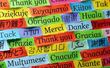 语言文字工作计划参考7篇