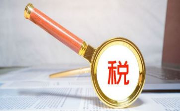 征管所工作总结6篇