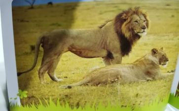 做真实的自己作文6篇