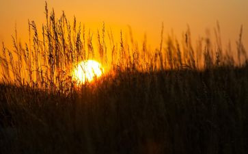 做真实的自己作文8篇