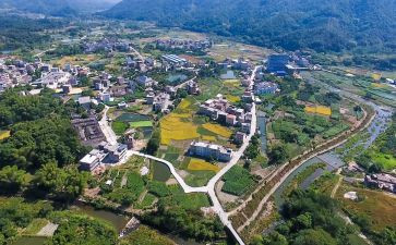 乡村振兴干部述职报告7篇