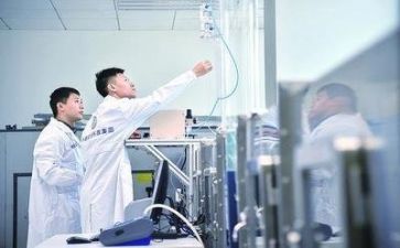 质量科的工作总结优秀6篇