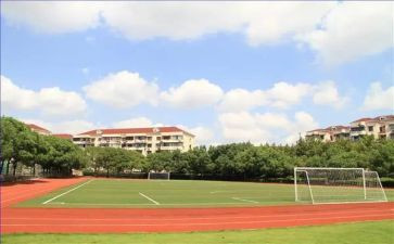 2024年度初中学生个人总结6篇