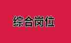 2024年综合岗工作总结推荐6篇